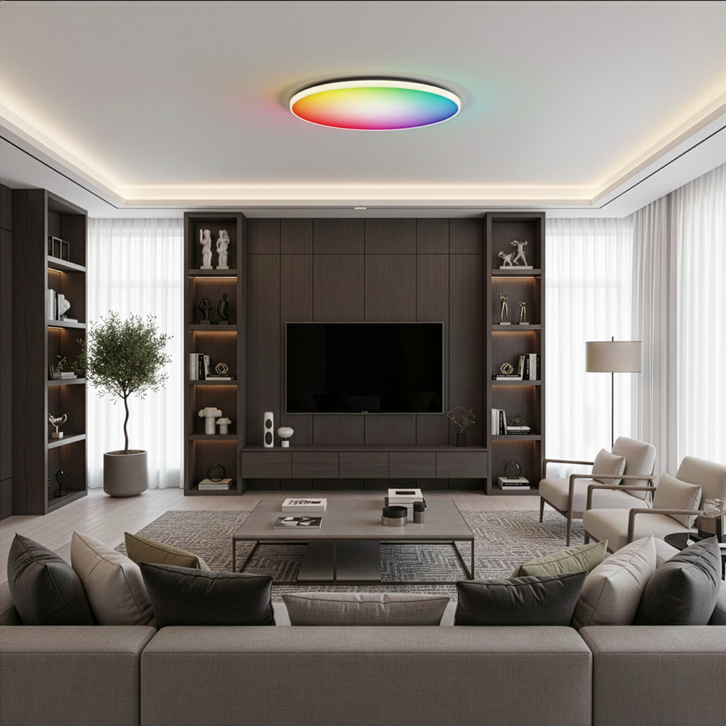 Smart Ceiling RGB Light